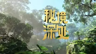 【央视】综合频道CCTV-1《秘境深处》