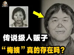 Download Video: 传说中的“梅姨”真的存在吗？警方搜捕她十几年却毫无线索