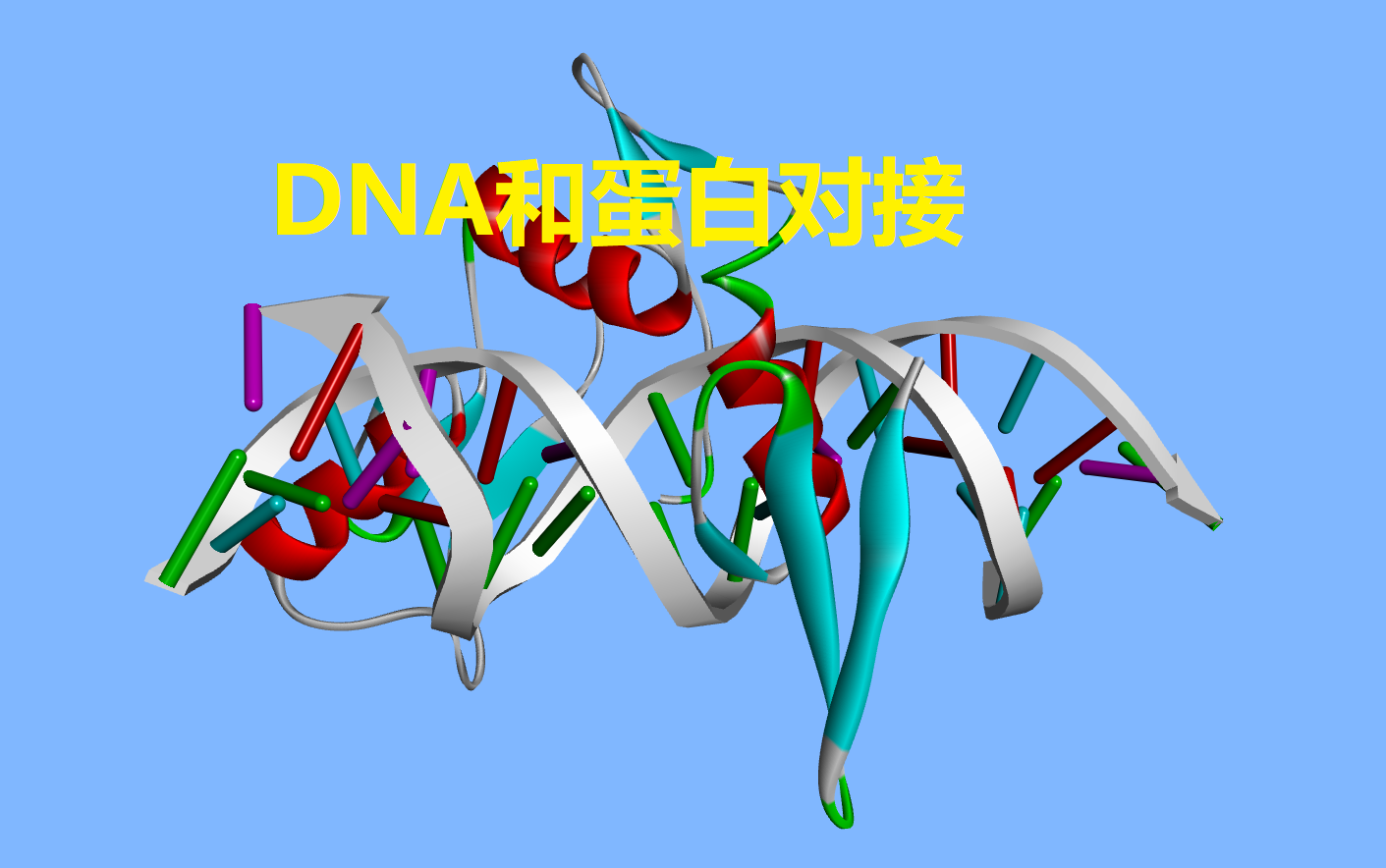 HADDOCK进行DNA蛋白对接哔哩哔哩bilibili