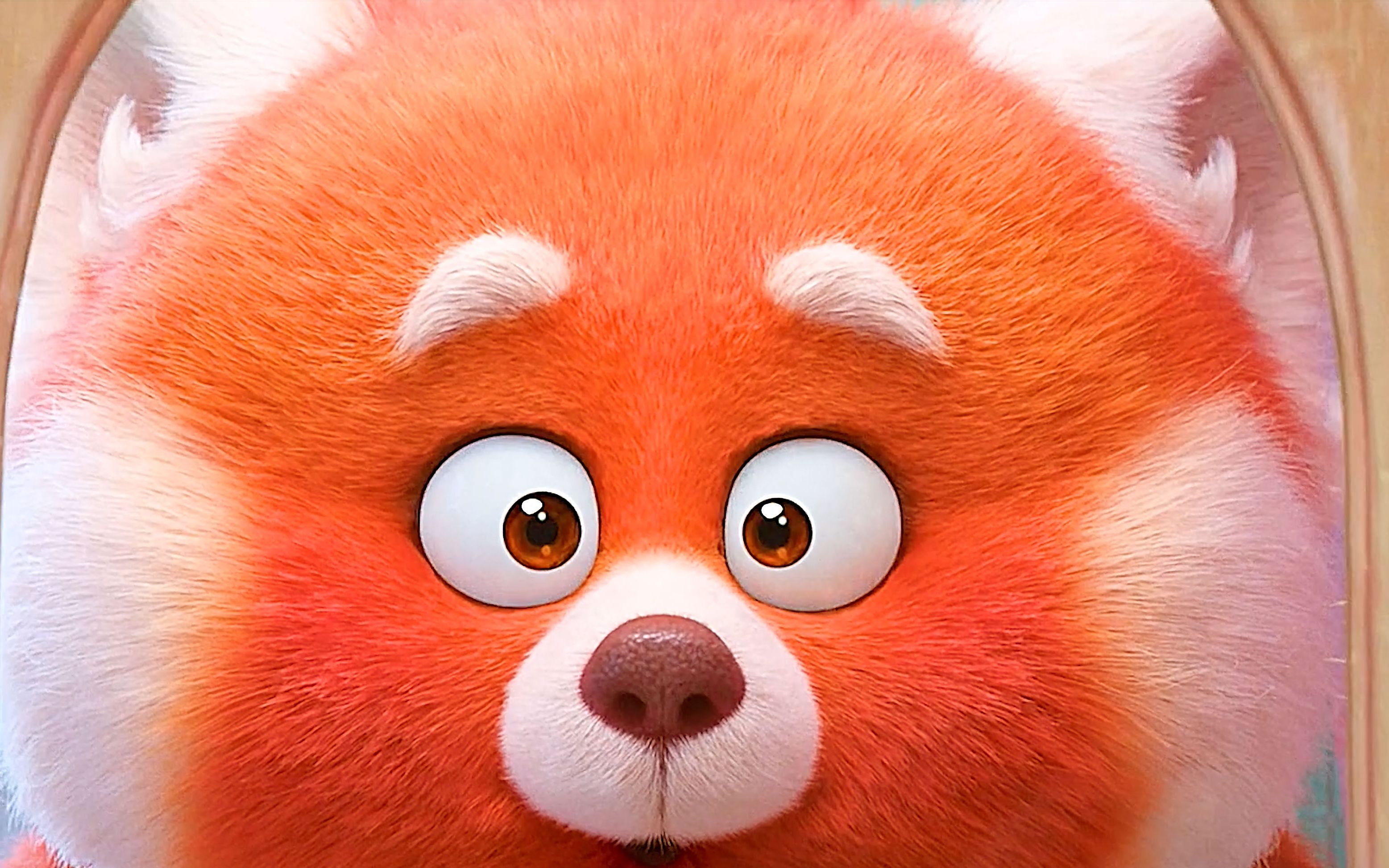 青春变形记第7集解说