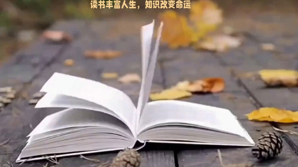 读书丰富人生,知识改变命运