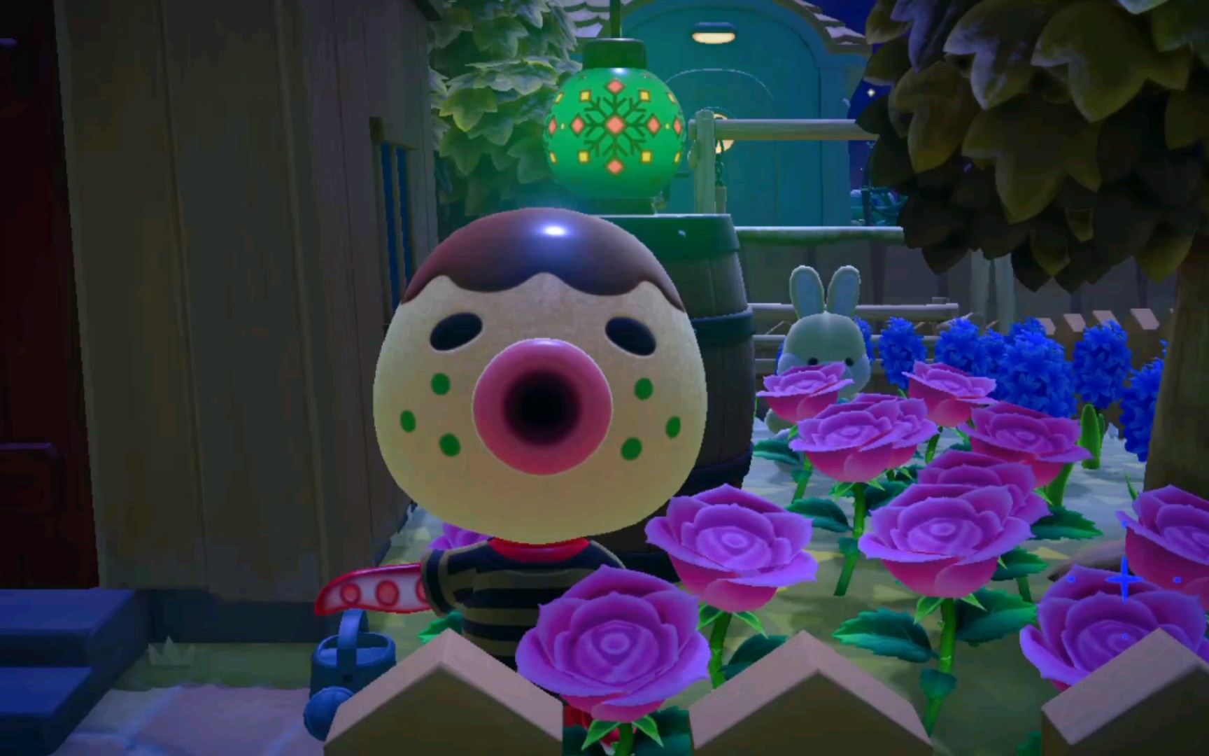 【动森】章丸丸的脑袋在夜晚闪闪发光像巧克力球