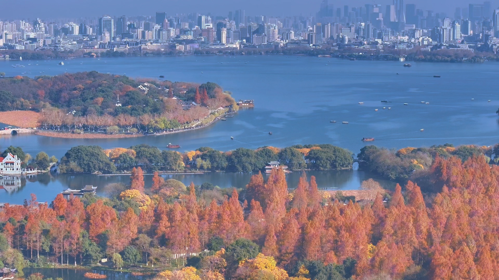 西湖的秋景让你来了就不想走
