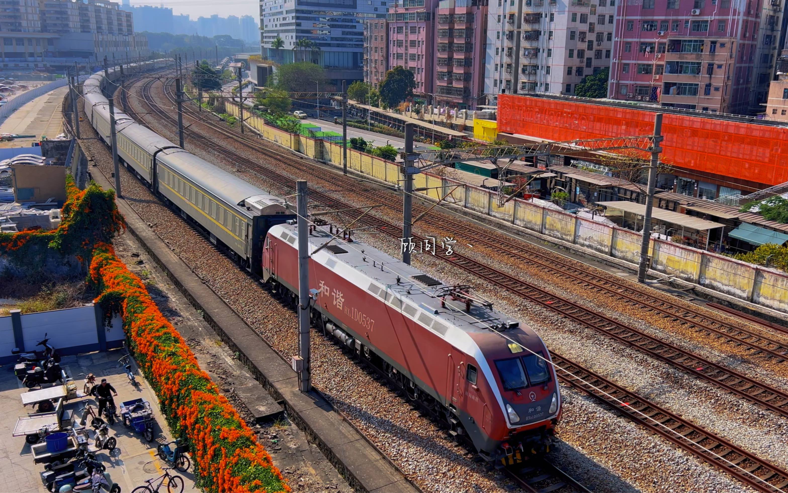 交通强国铁路先行#铁路摄影#广深铁路#k106次深圳东-北京西#健康快车