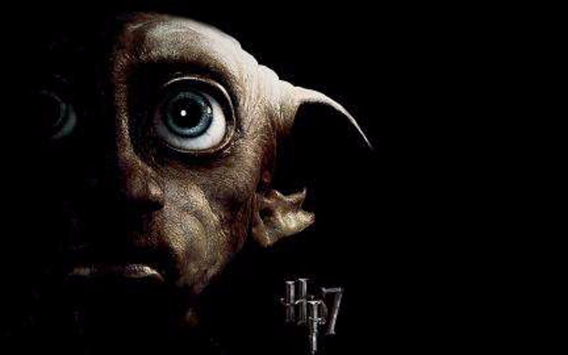 【多比】个人love系—献给一个自由的小精灵 【催泪向】