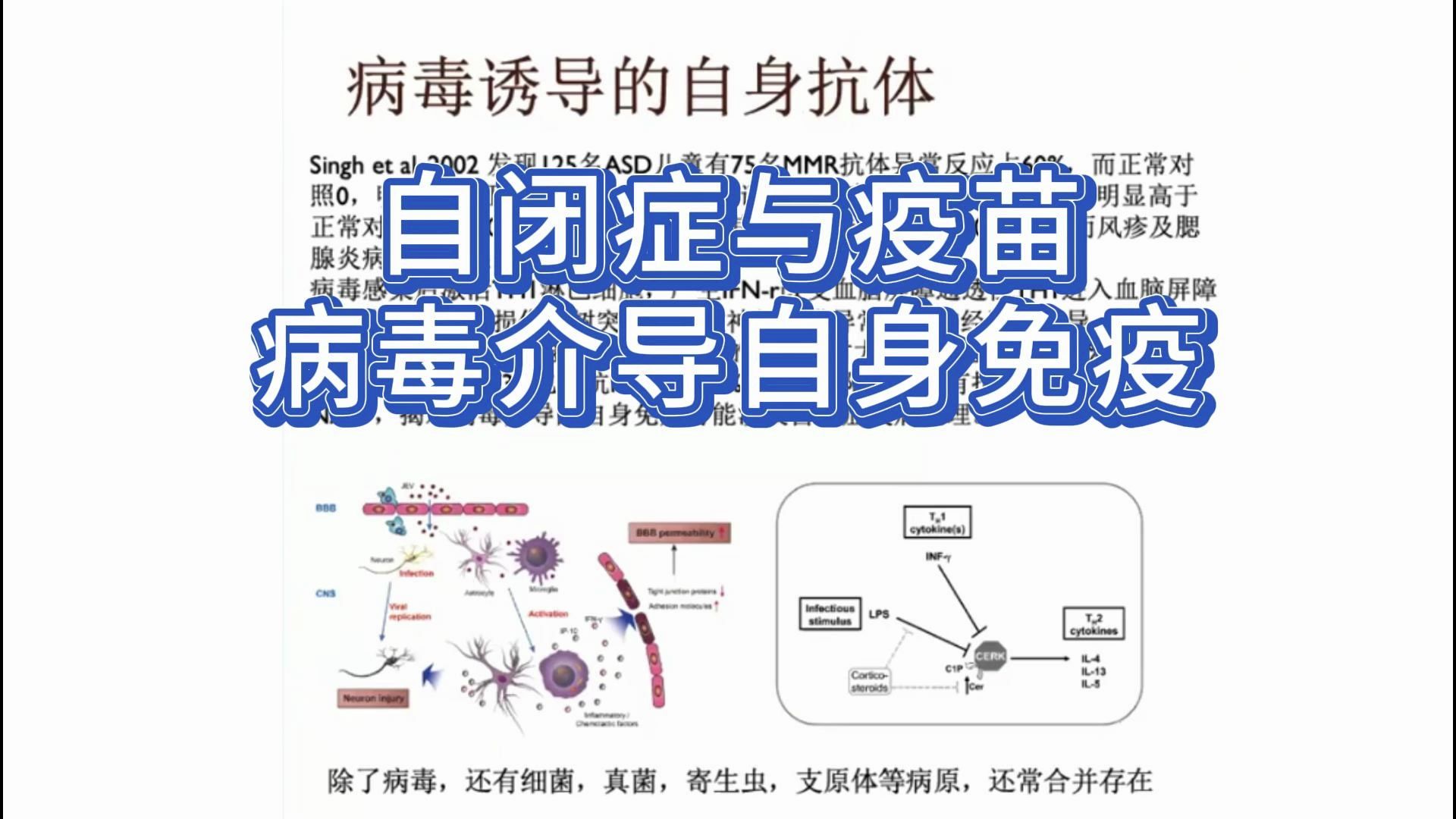 自闭症与疫苗之病毒介导自身免疫,孔学君教授哔哩哔哩bilibili