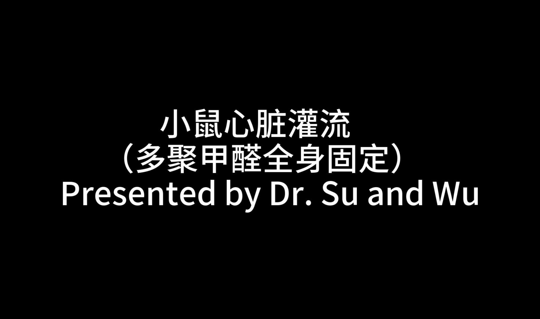 小鼠心脏灌流 (多聚甲醛全身固定)哔哩哔哩bilibili