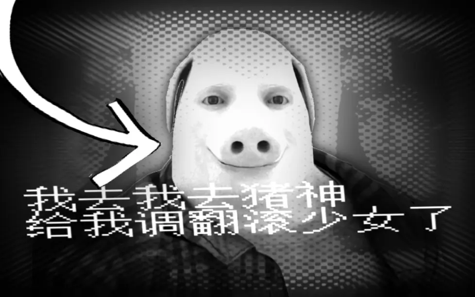 翻滚猪神 | rolling god_哔哩哔哩_bilibili