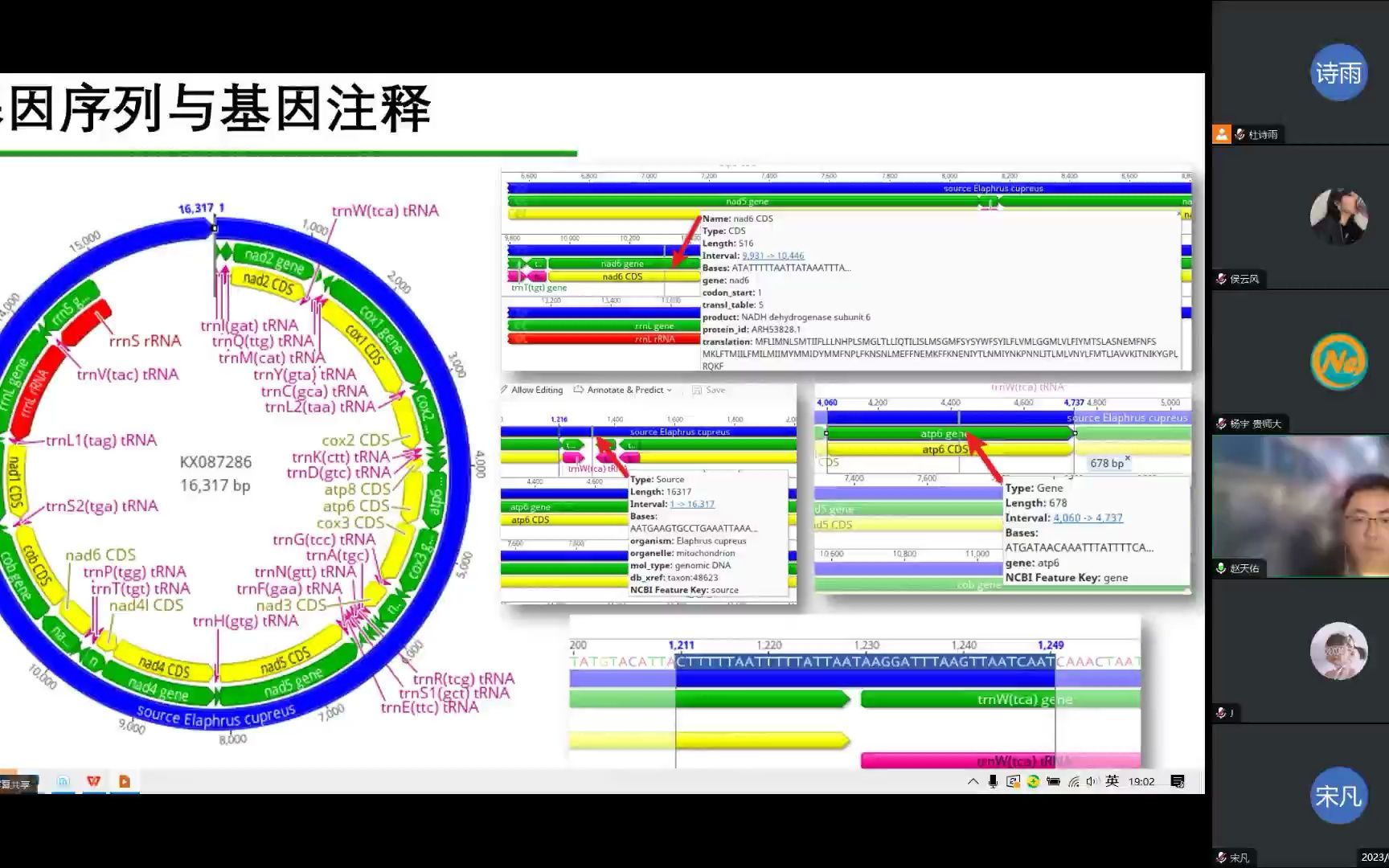 赵天佑昆虫分类学讲习班第五讲20230614哔哩哔哩bilibili