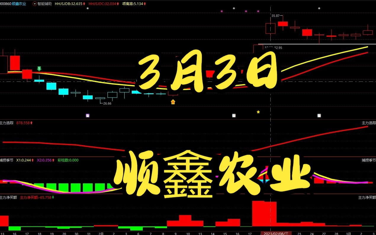 3月3日顺鑫农业:主力洗盘结束了吗?如何判断低吸高抛?哔哩哔哩bilibili