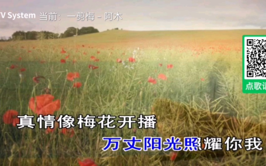 阿木《一剪梅》(原唱:费玉清)mv(安卓点歌)