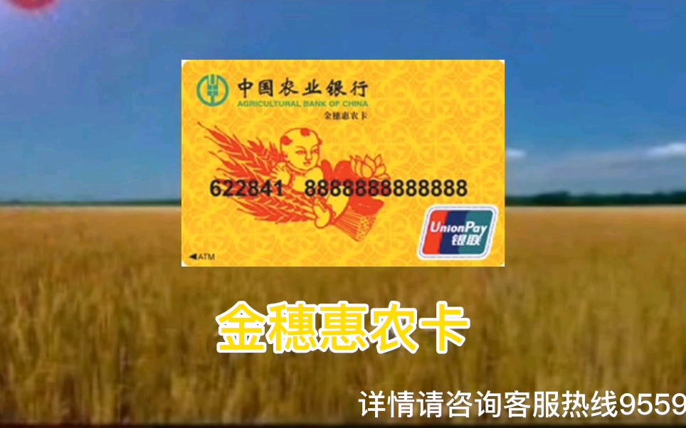 中国农业银行卡惠农图片