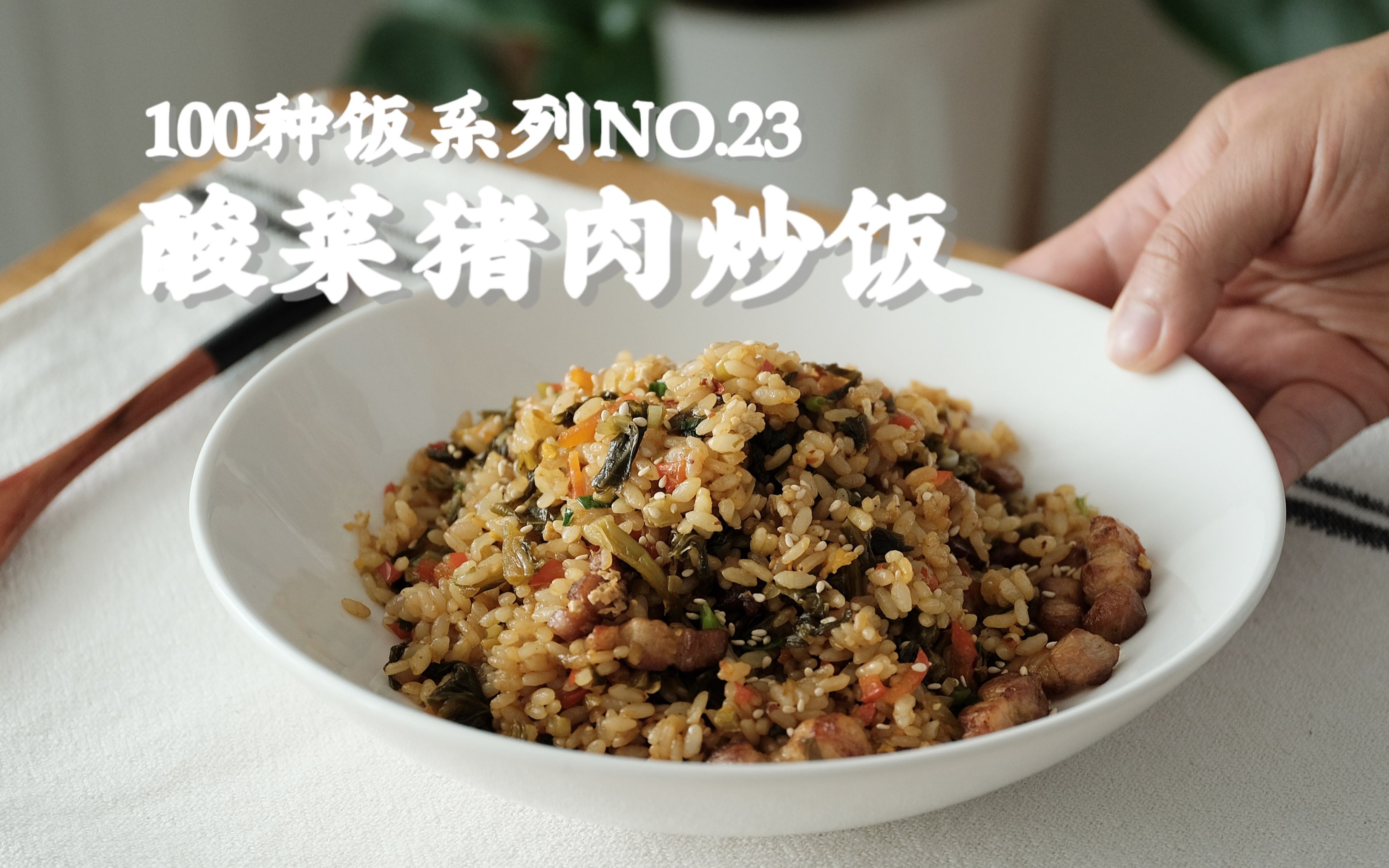 酸菜猪肉炒饭|带你吃遍100种饭NO.23哔哩哔哩bilibili