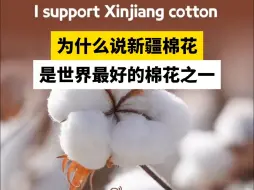 为什么说新疆棉花是世界最好的棉花之一