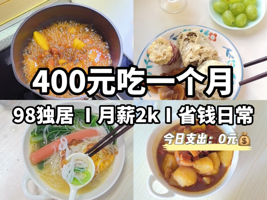 低物欲省钱Ⅰ真的很喜欢做饭省钱的小日子哔哩哔哩bilibili