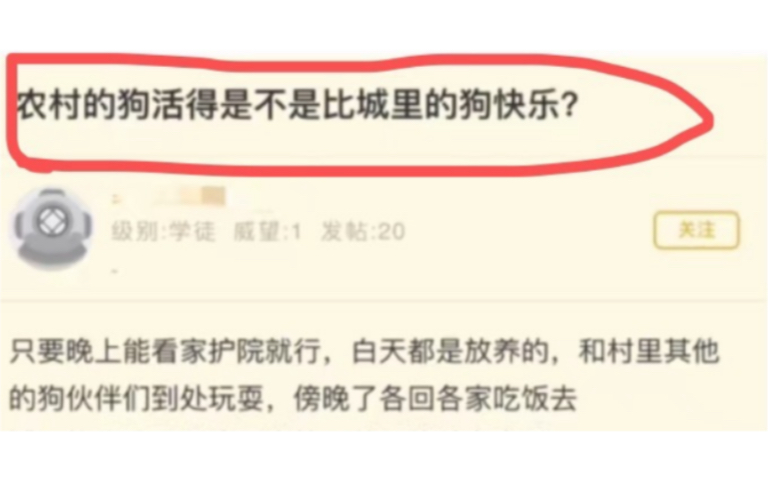 [图]农村的狗活的是不是比城里的狗快乐？