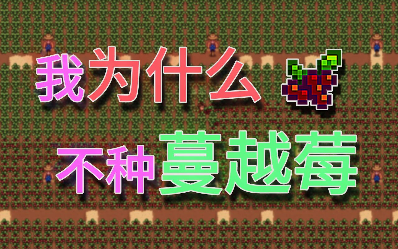 星露谷物语蔓越莓收益分析