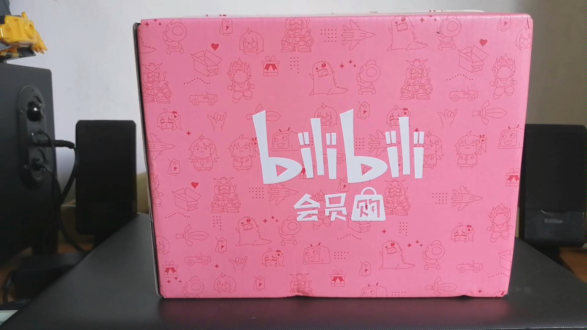 开箱b站会员购会员赏之萌即正义