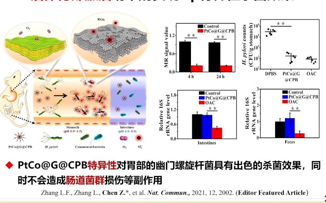 20231026湖南大学陈卓胃部极酸性环境精准诊疗哔哩哔哩bilibili