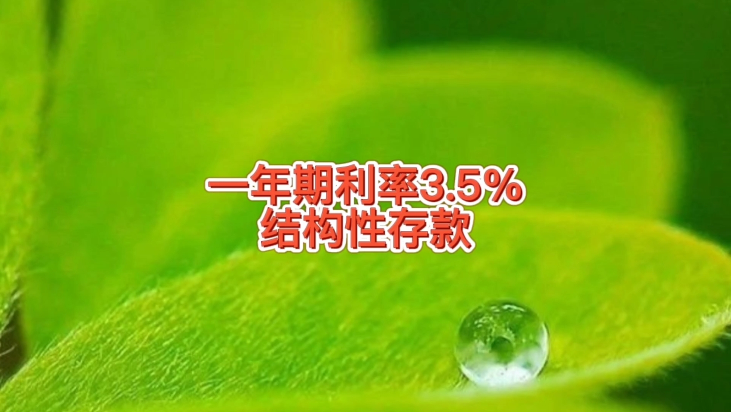 结构性存款一年期利率3.5%,比普通存款储蓄利息高,有啥区别哔哩哔哩bilibili