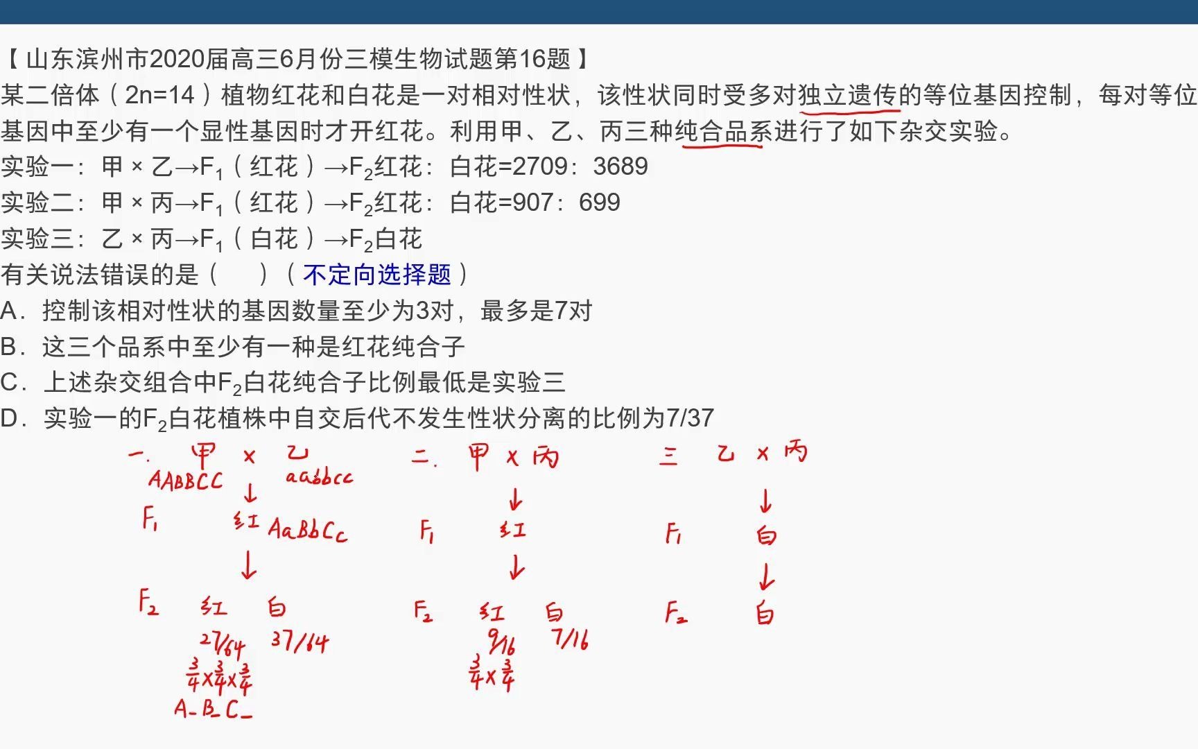 [图]某二倍体（2n=14）植物红花和白花是一对相对性状，该性状同时受多对独立遗传的等位基因控制，每对等位基因中至少有一个显性基因时才开红花。