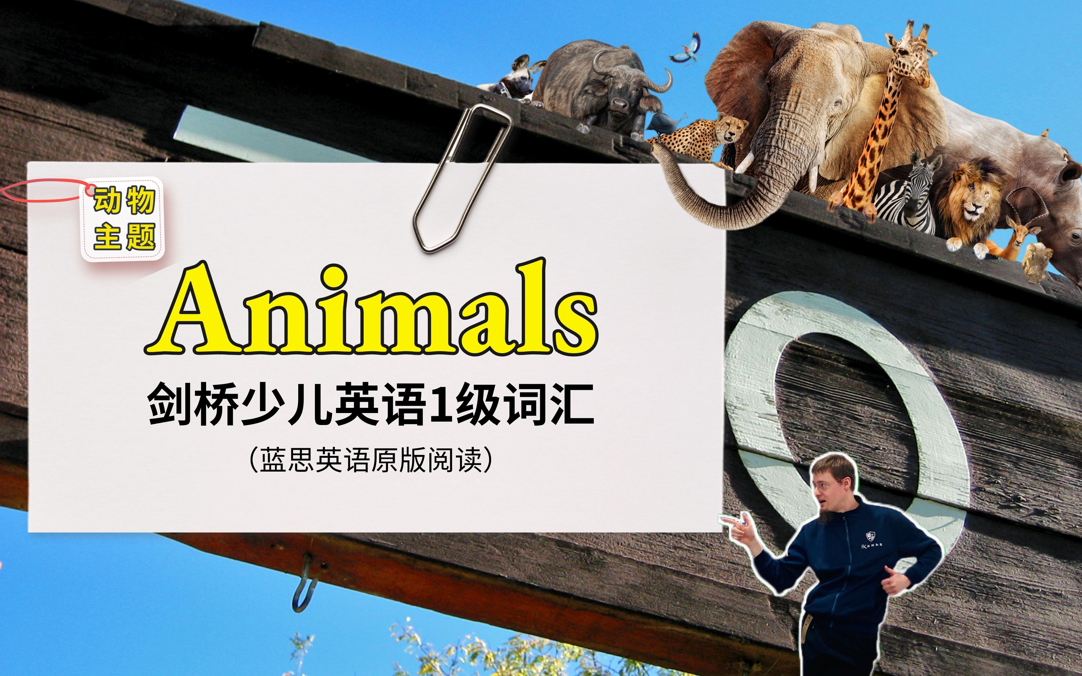 剑桥少儿英语1级词汇:Aminals(动物)系列哔哩哔哩bilibili