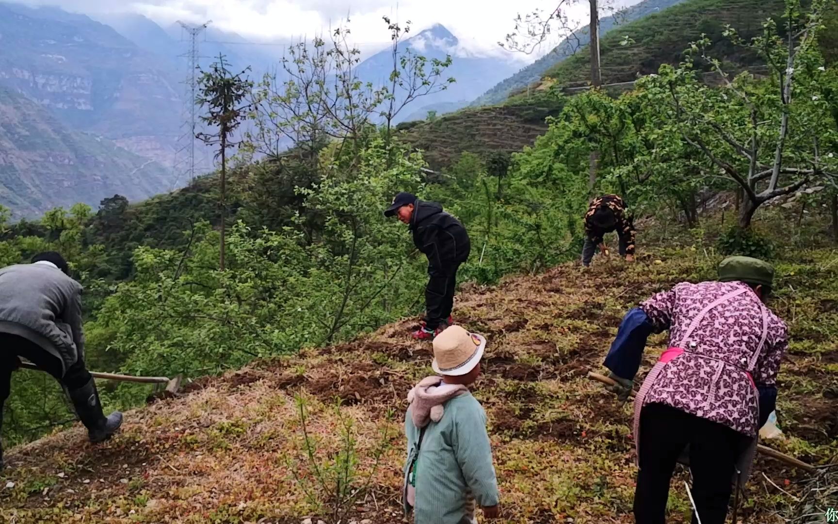 [图]一年之计在于春，农家春播场景！