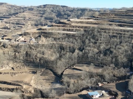 就是这一溜溜沟沟,这一道道坎坎,这一片片黄土,这一座座土山,养育了这里的祖祖辈辈,如果你觉得压力大,那就回老家,回你从小生活的地方走一走!...