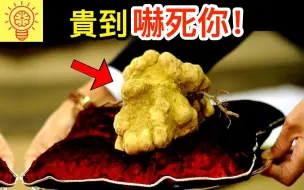 Video herunterladen: 全球最贵！贵到吓死你的土豪食物！