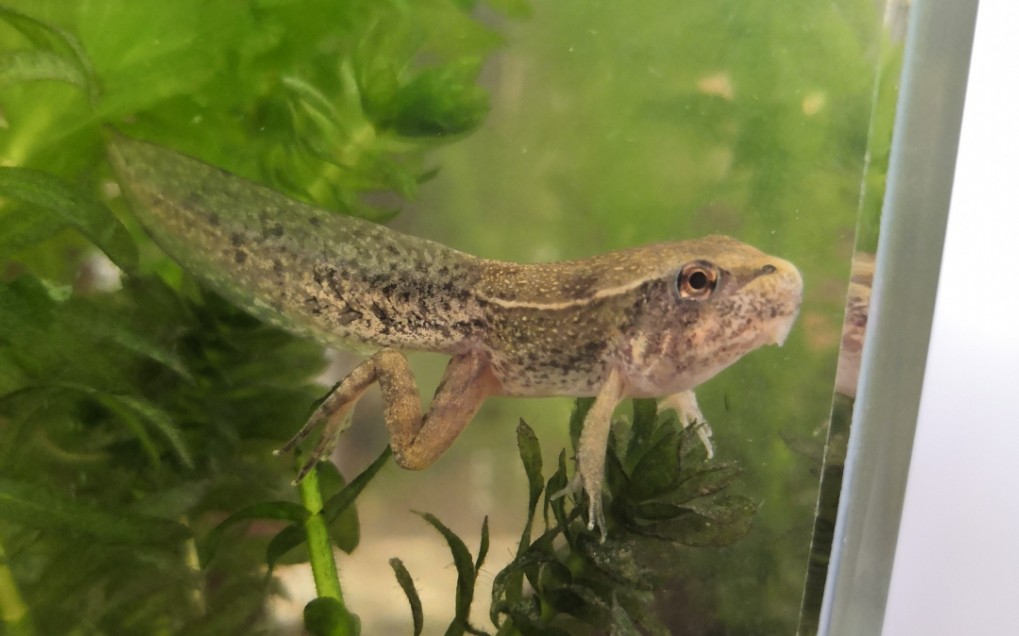 26_哔哩哔哩 (゜-゜)つロ 干杯~-bilibili