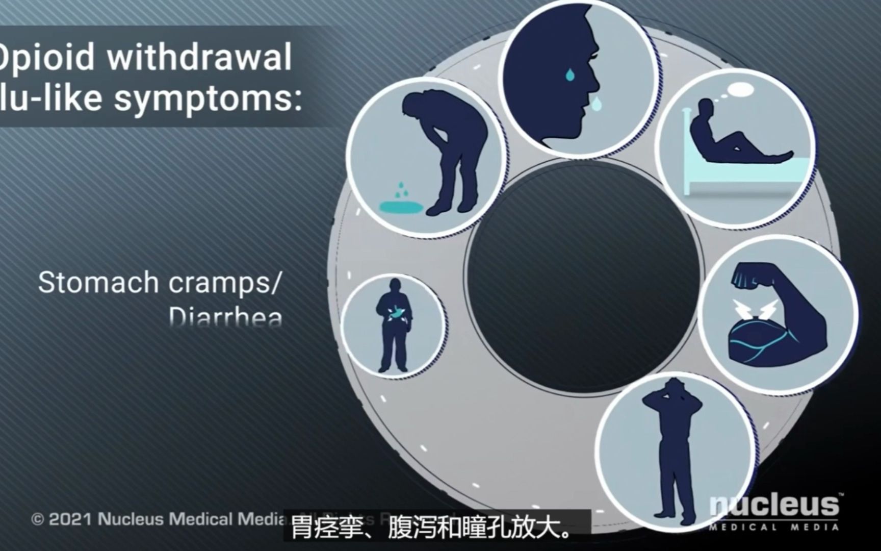 阿片类镇痛药物如何发挥镇痛作痛,一个视频教你看懂哔哩哔哩bilibili