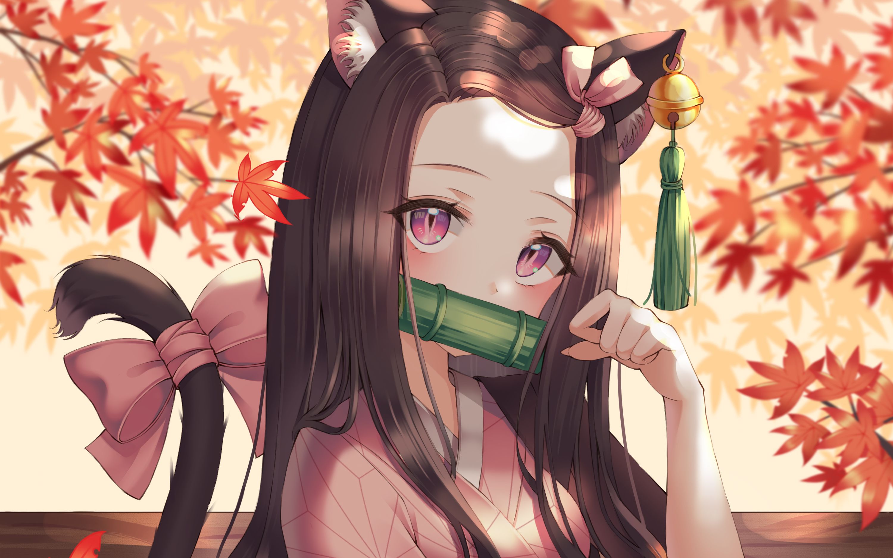 祢豆子都给你了,还不点赞