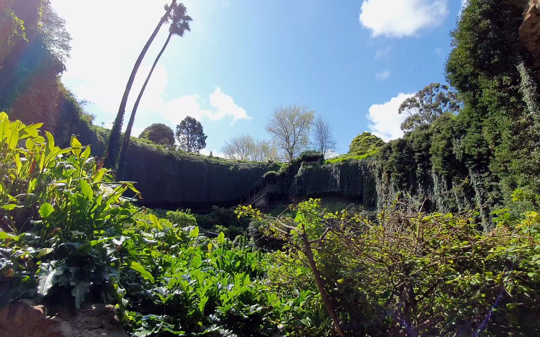 umpherston sinkhole天坑花園