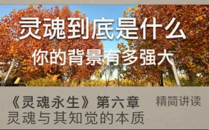 下载视频: 《灵魂永生》第六章 灵魂与其知觉的本质 赛斯书精简讲读系列