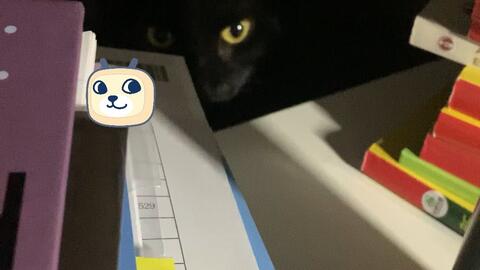 王妃鸳鸯浴小说我的英语老师3 毛豆文学网