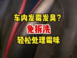 Download Video: 车内发霉发臭？免拆洗轻松处理霉味！