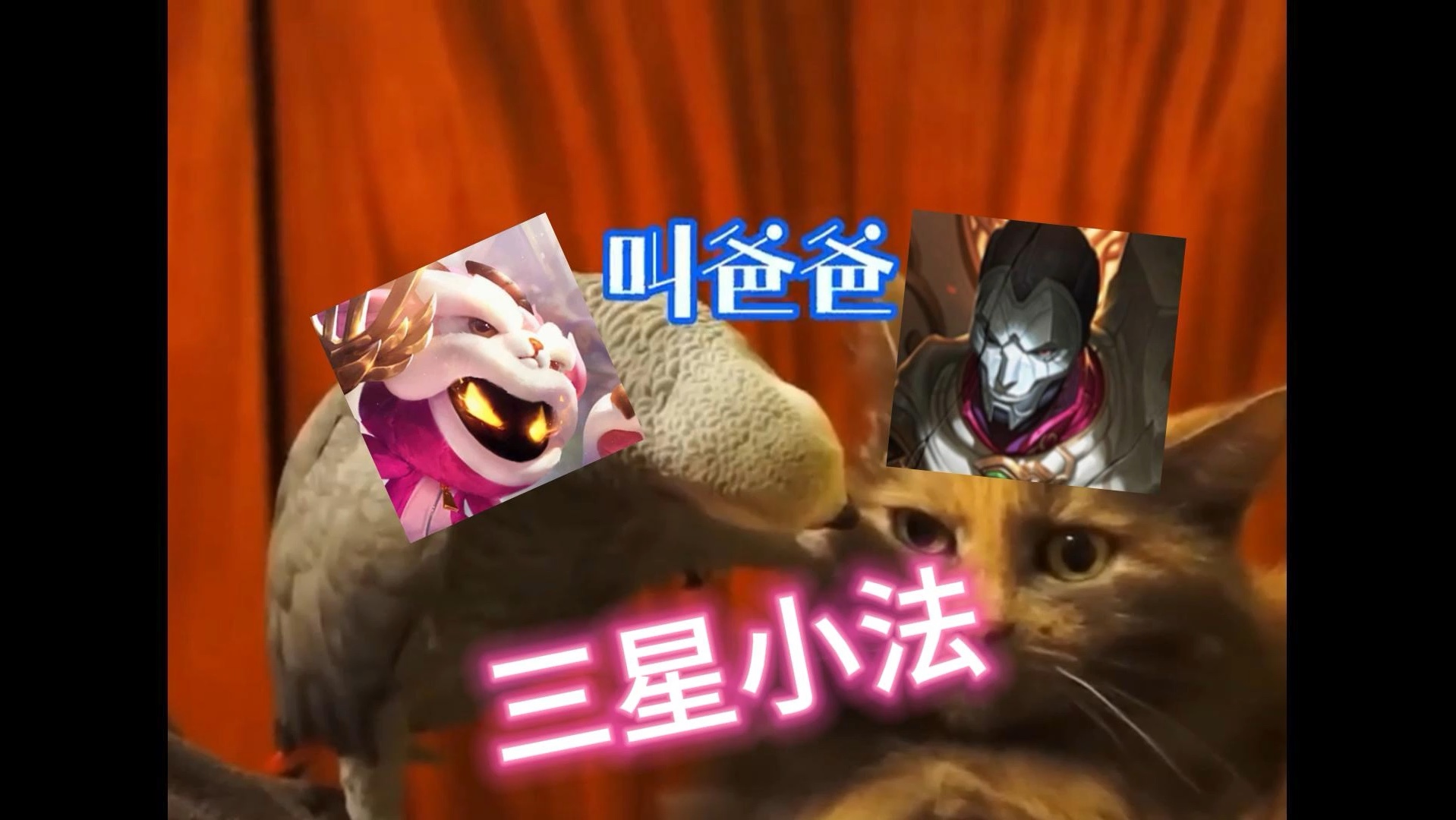 小法:我可不是吃素的