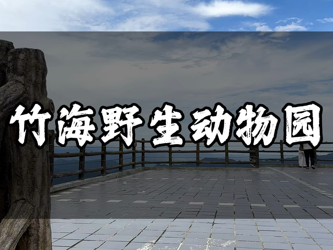 洛阳最容易被忽视的景区,竹海野生动物园,来参加灵岩大熊猫8.