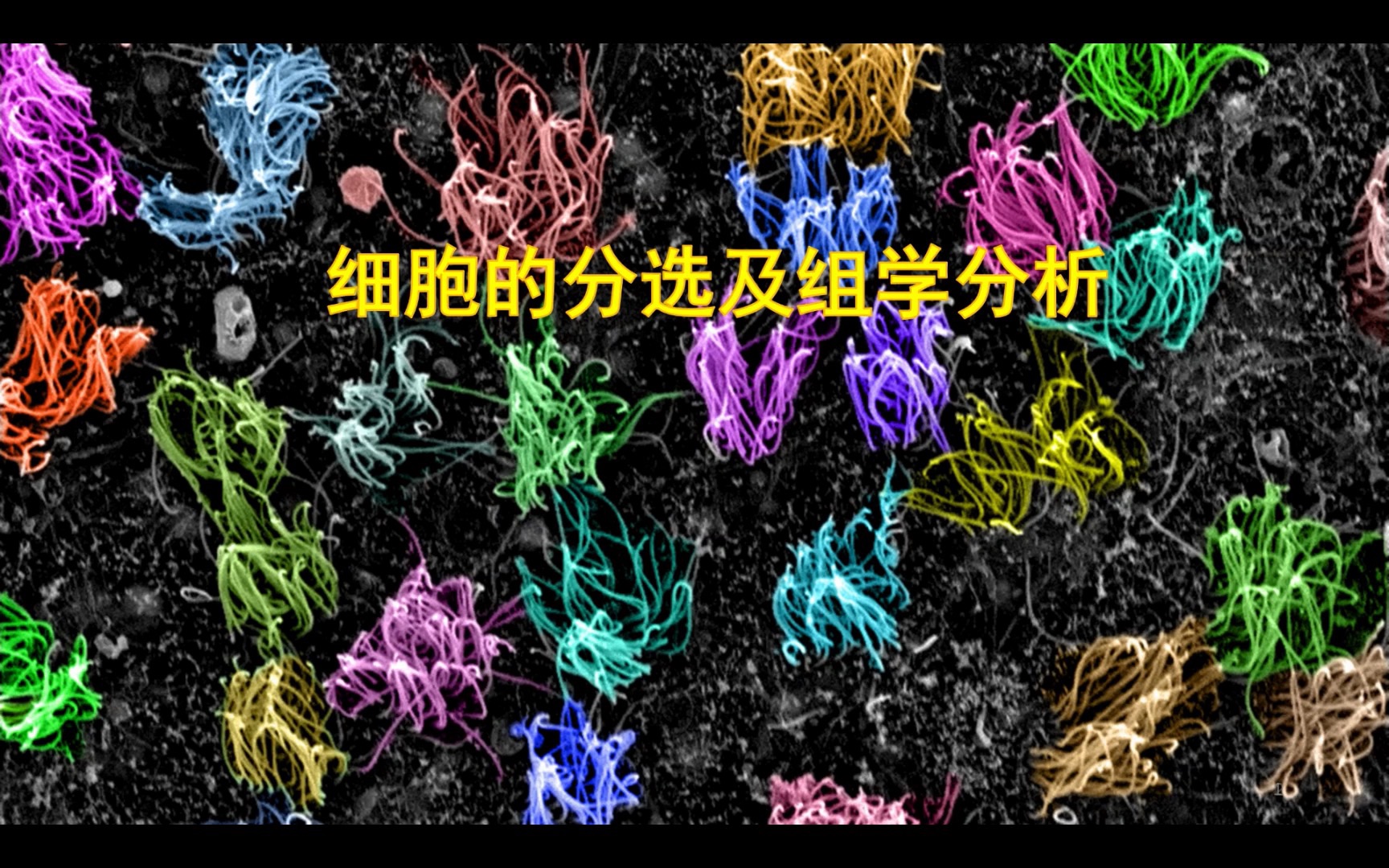 细胞分选及组学分析哔哩哔哩bilibili