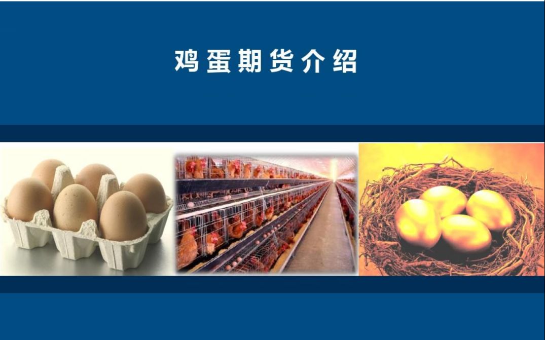 20210521鸡蛋期货中融汇信期货梁成强