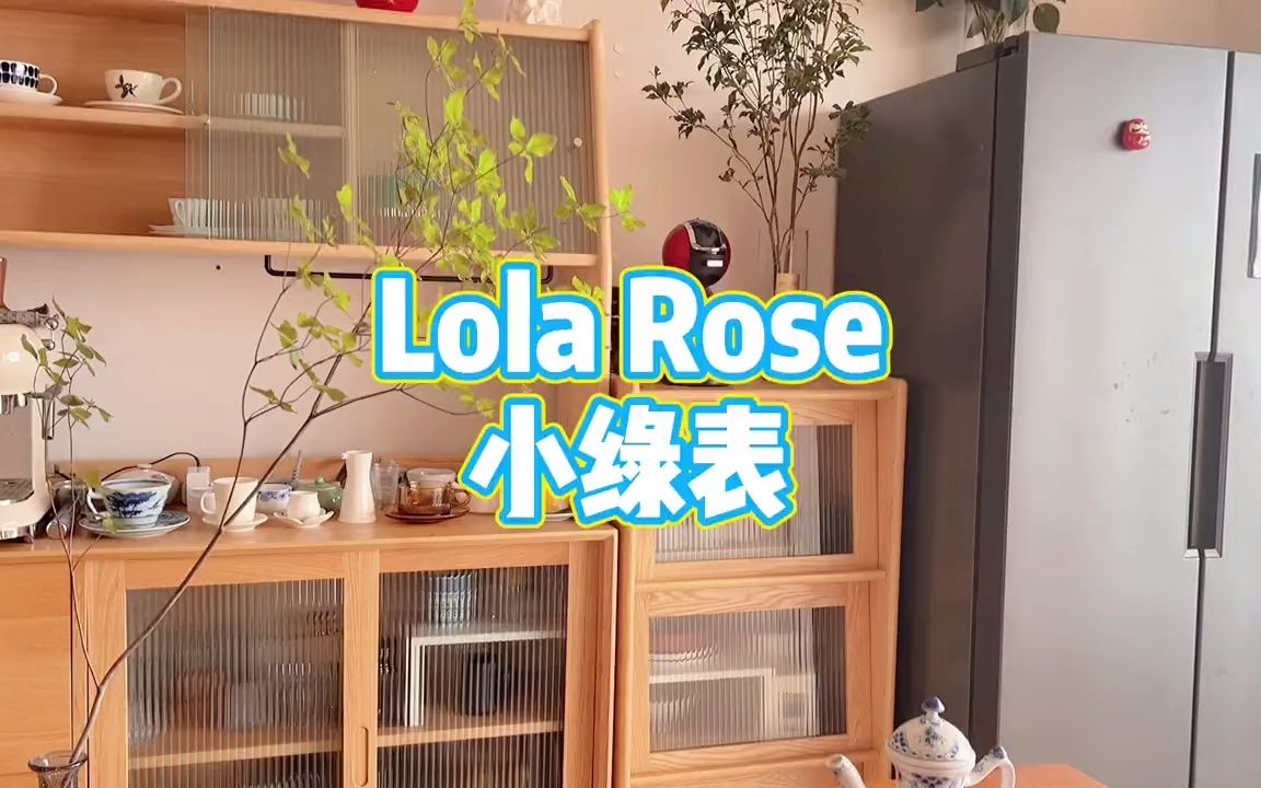 lolarose小绿表,安静中享受时光,静谧中体验瞬间哔哩哔哩bilibili