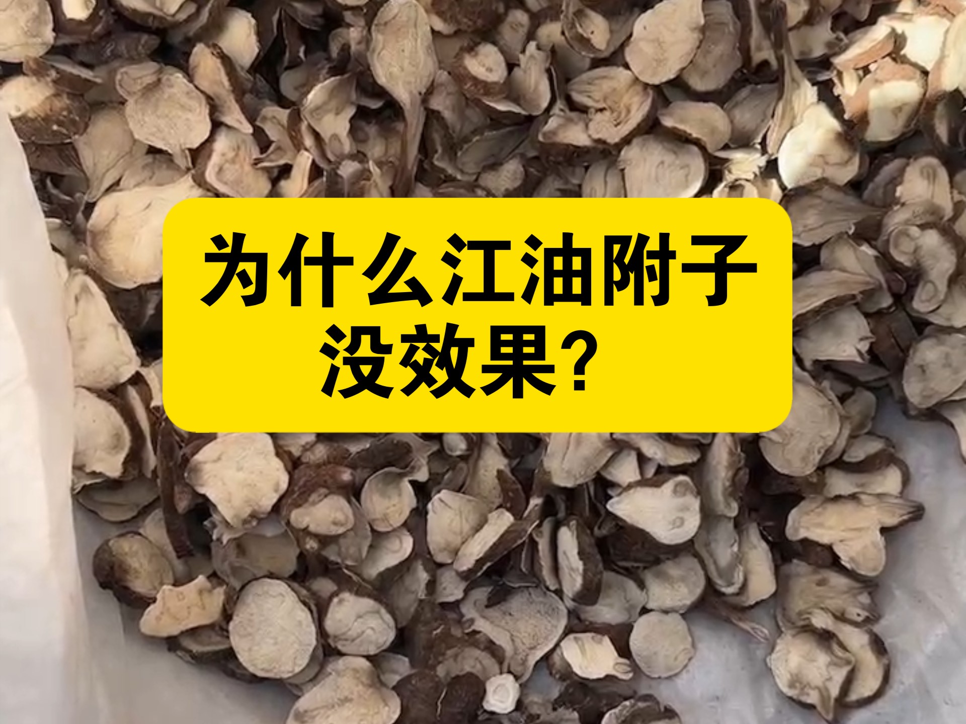 为什么你买到的江油附子没效果?因为现在很多都是打膨大剂化肥催长的,激素催出来的自然效果不好了!咱们家用农家肥不打膨大剂慢慢长的效果非常好!...