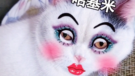 猫猫化妆,哈哈哈