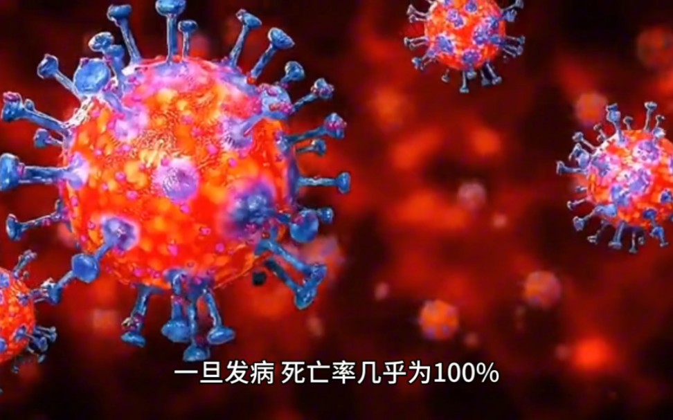 狂犬病毒潜伏二三十年?