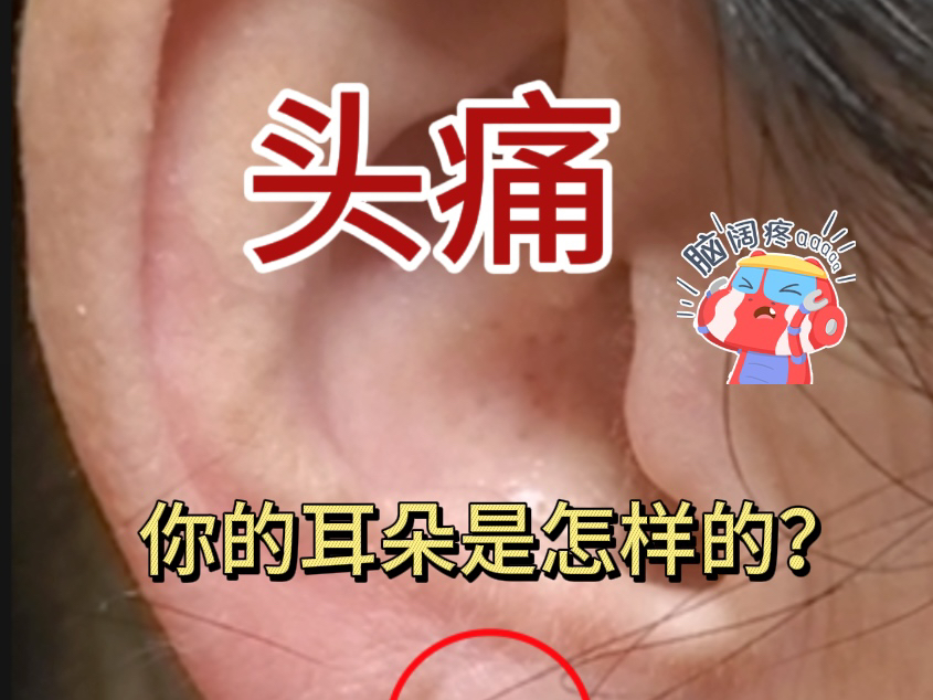 【孟老师讲耳穴养生】最新视频来袭,快来看看吧!哔哩哔哩bilibili