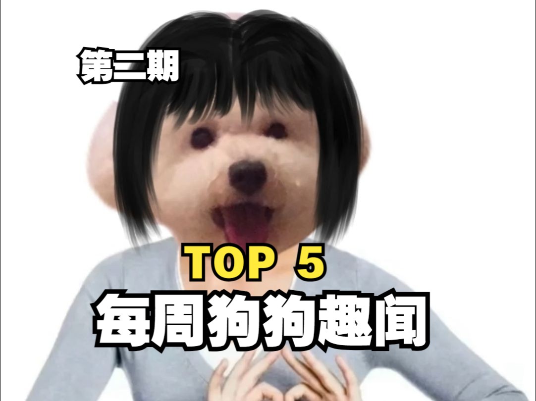 每周狗界趣闻TOP5(第二期)哔哩哔哩bilibili