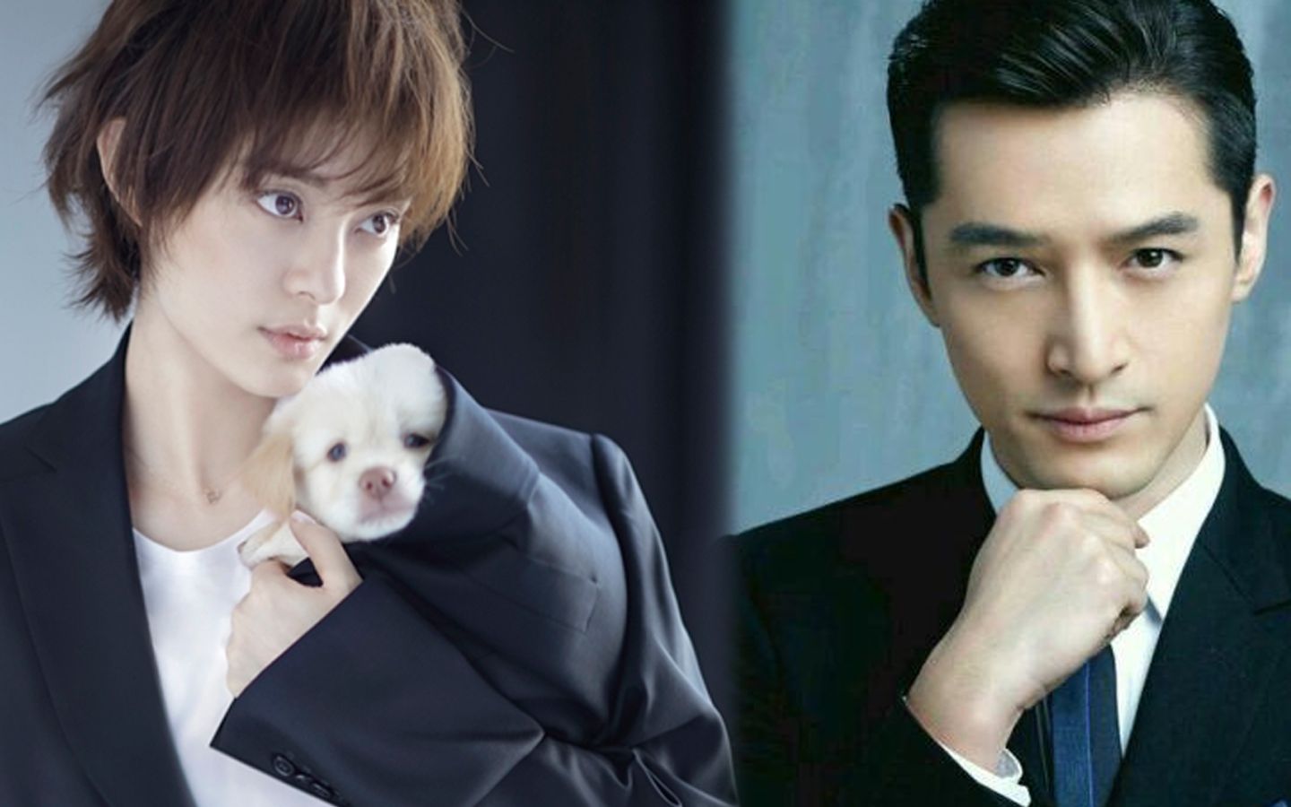 《甄嬛传》导演电视剧新作将拍,胡歌将联手孙俪?网友:赵丽颖呢?