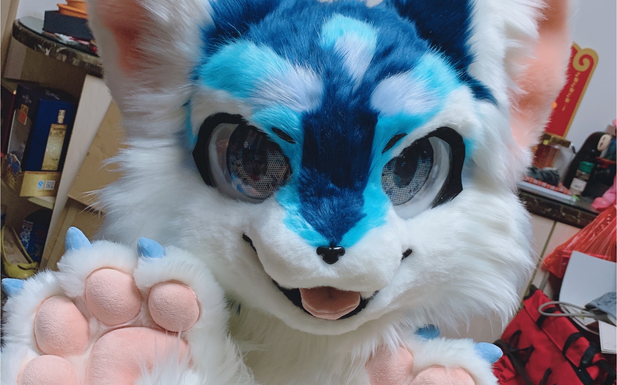 日系fursuit展示 制作:烟龙牌香烟