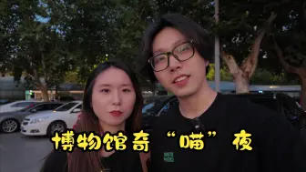 Video herunterladen: 200只猫猫齐聚博物馆，会发生啥？