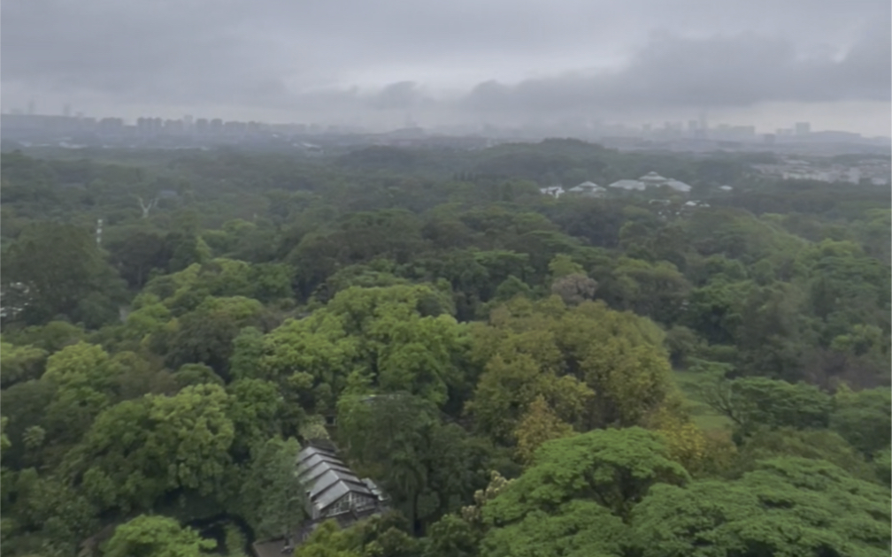 广州天河龙洞植物园君林天下大平层哔哩哔哩bilibili